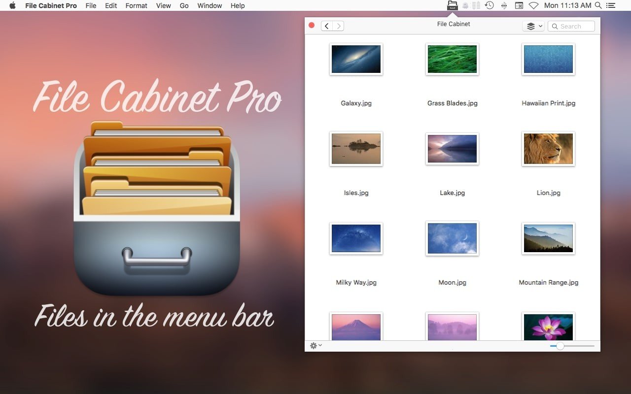 File Cabinet Pro screenshot 1